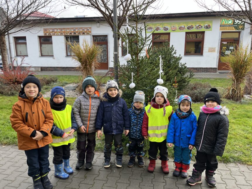 Zdobení stromečku ve městě 🎄