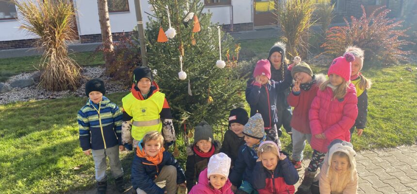 Zdobíme stromeček 🎄