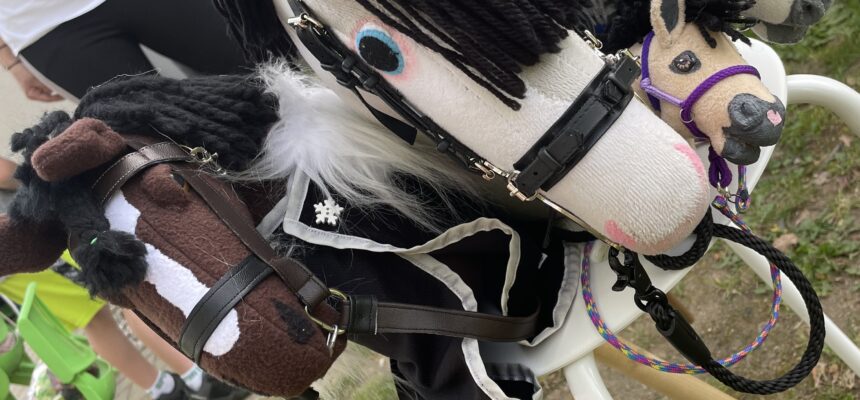 Představení sportu – hobbyhorse🎠