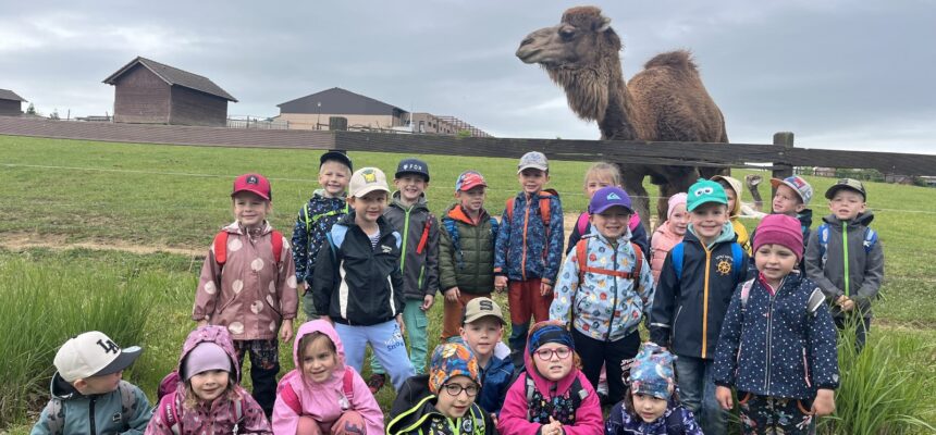 Výlet – Farmapark Soběhrdy🐫🦙